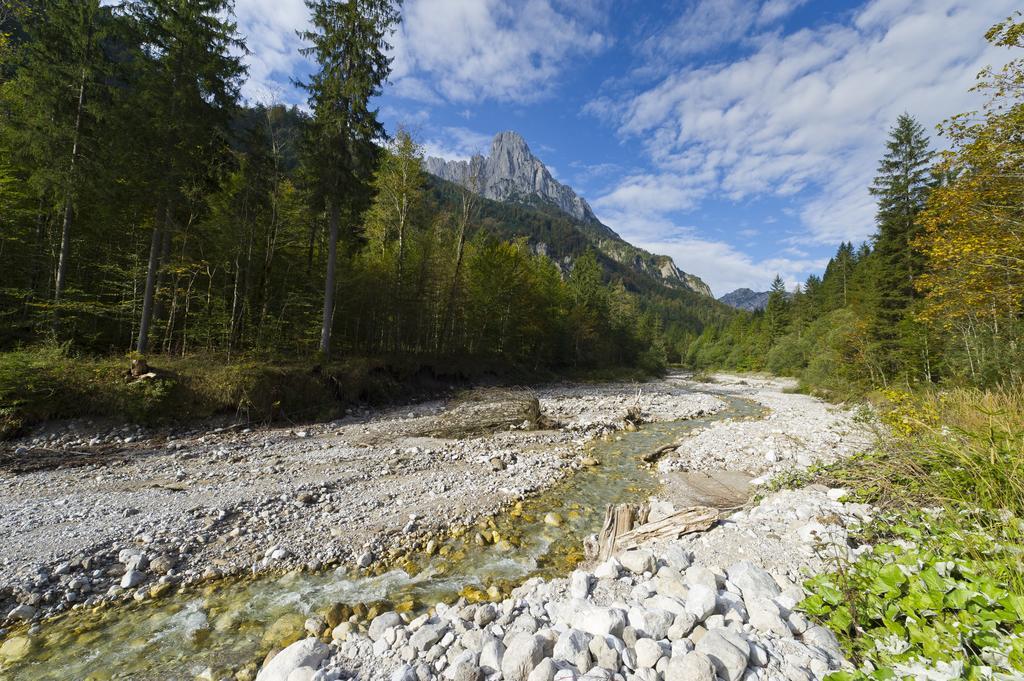 Pension Worgotter Kirchdorf in Tirol Exterior photo