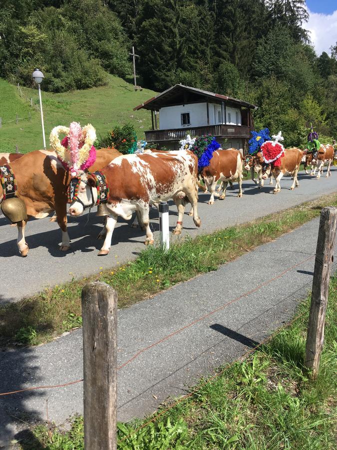 Pension Worgotter Kirchdorf in Tirol Exterior photo