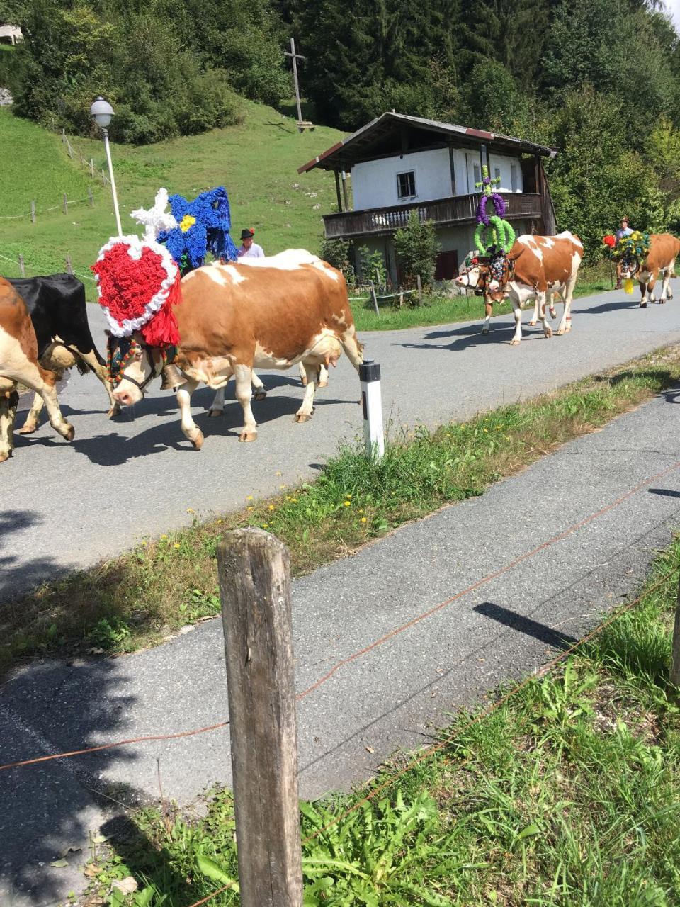 Pension Worgotter Kirchdorf in Tirol Exterior photo