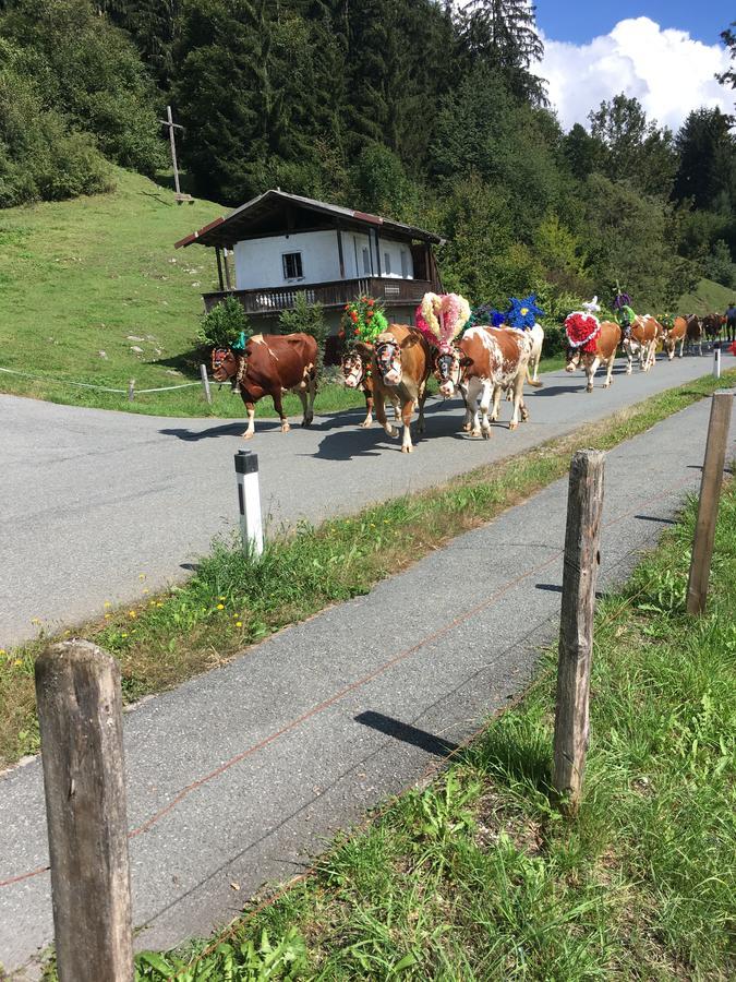 Pension Worgotter Kirchdorf in Tirol Exterior photo